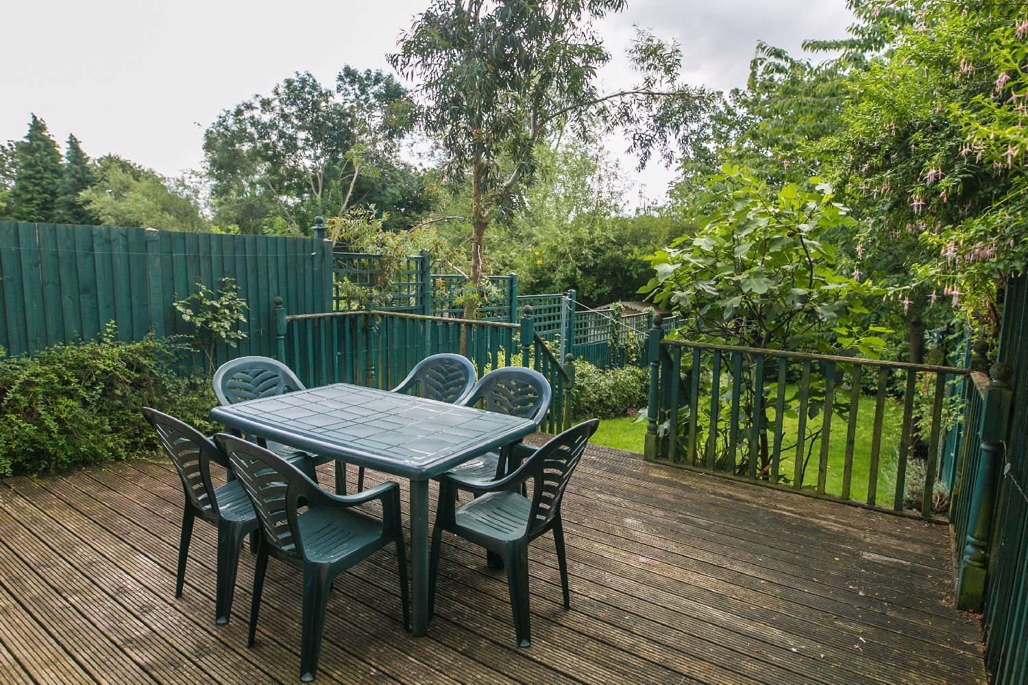 Poole Crescent, Harborne, Birmingham Ref 1968 Purple Frog Property