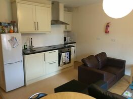 Alfreton Road (S), Arboretum - Image 1