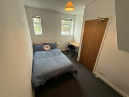 Alfreton Road (S), Arboretum - Image 3