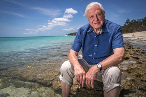 David Attenborough at Great Barrier Reef Purplefrog Property