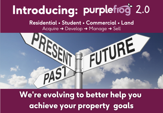 Purple Frog 2.0: Evolving to better help you achieve your property goals